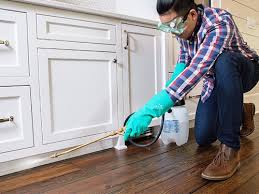 Best Residential Pest Control  in Grayvle, IL